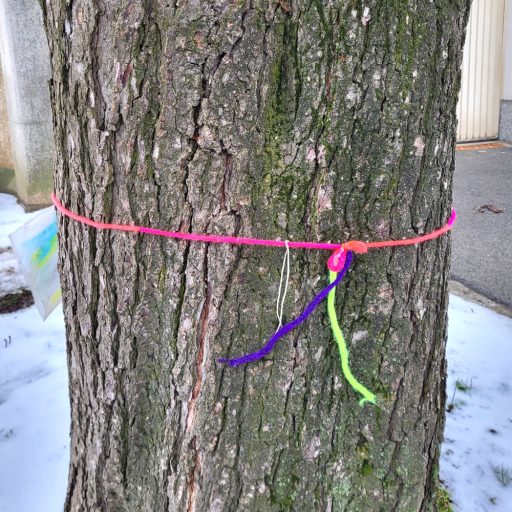 Kastanie am Kirchenplatz