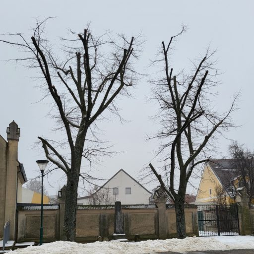 Linden am Kirchenplatz